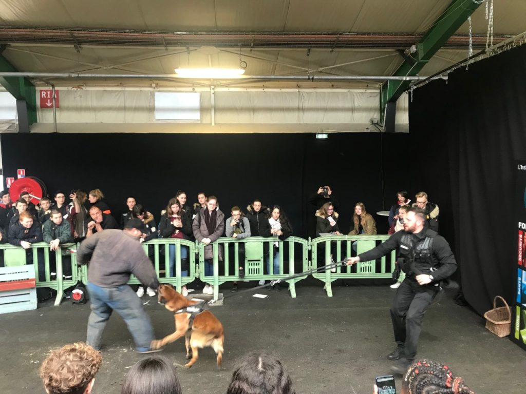 Ensemble Scolaire Saint François De Sales Alençon